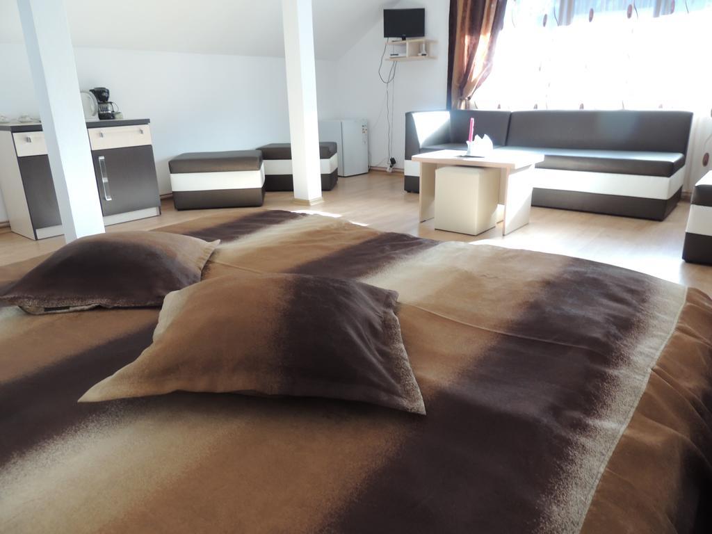 Pension Steaua Ariesului Албак Екстер'єр фото