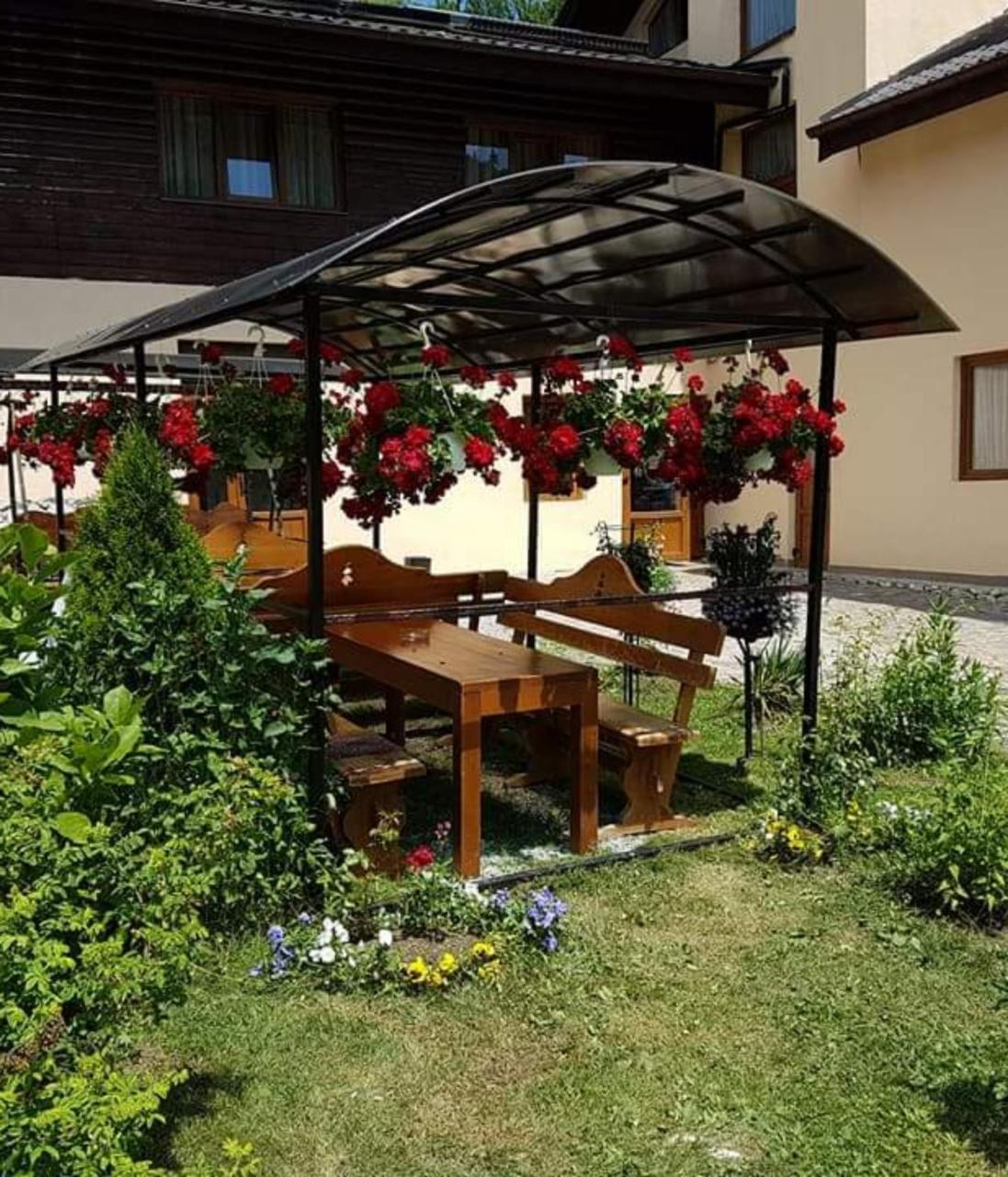 Pension Steaua Ariesului Албак Екстер'єр фото
